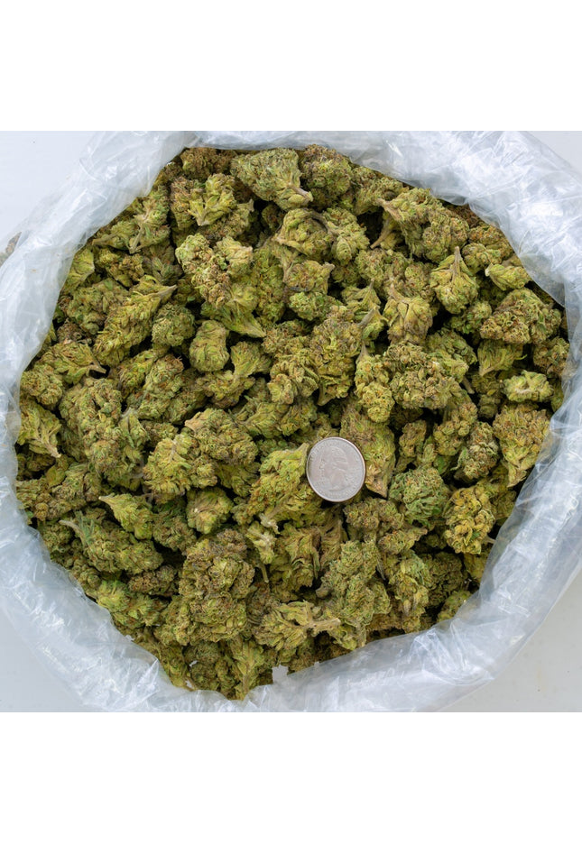 Slurty 32% Bulk