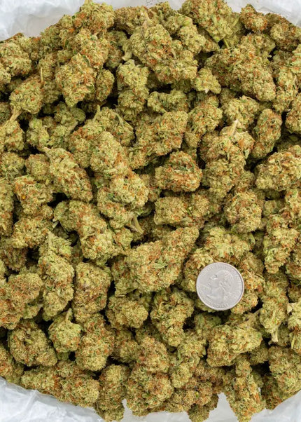 Sour Kush Breath 33% Thca Bulk