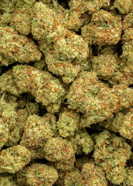 Sour Kush Breath 33% Thca Bulk