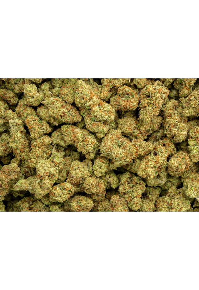 Sour Kush Breath 33% Thca Bulk