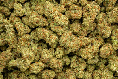 Sour Kush Breath 33% Thca Bulk