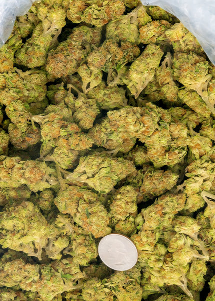 bulk distro best Thca discount wholesale buy cheap lbs online shipping overnight pounds
