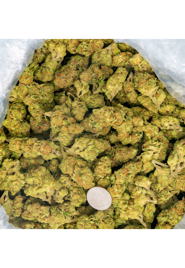 bulk distro best Thca discount wholesale buy cheap lbs online shipping overnight pounds