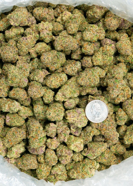 Stardawg Guave 33% THCa