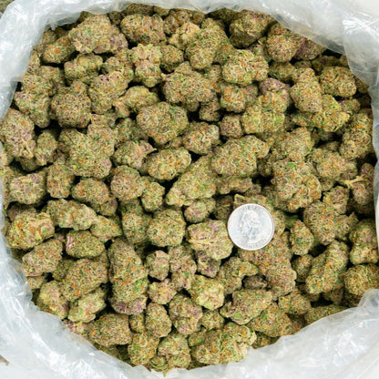 Stardawg Guave 33% THCa