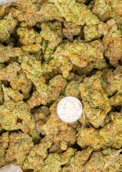 rare exotic strains buy bulk discount thca hemp online fast shipping