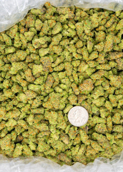 exotic  flower strain sauce purple & orange color, small bud size discount pounds high thca online