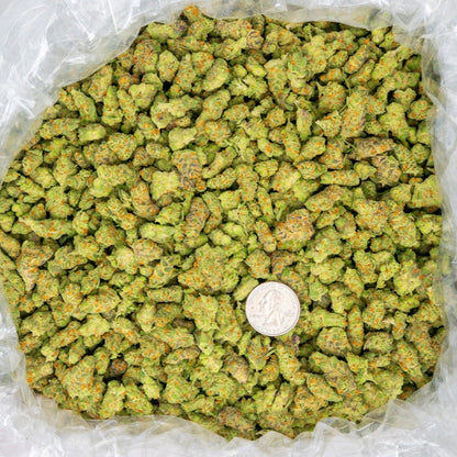 exotic  flower strain sauce purple & orange color, small bud size discount pounds high thca online