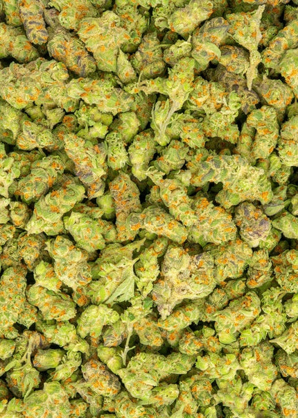 exotic flower strain sauce purple & orange color, small bud size discount lbs high thca hemp