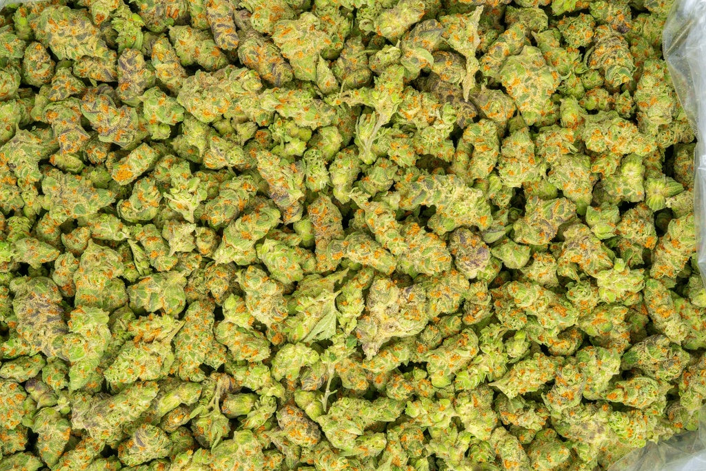 exotic flower strain sauce purple & orange color, small bud size discount lbs high thca hemp