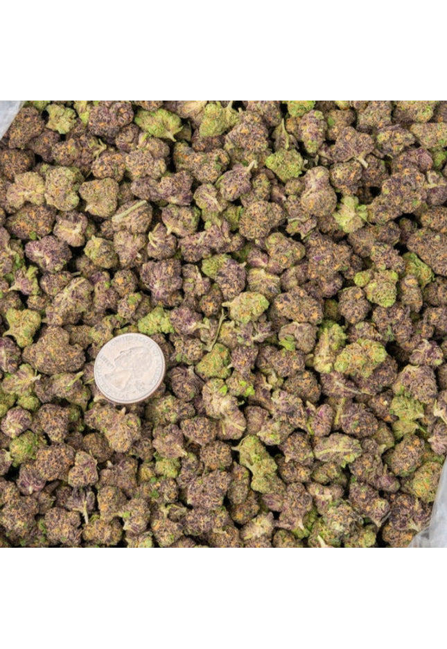 online cheap distro exotic discount thca hemp exotic flower buy lbs online fast shipping cheap wholesale discount pricing online