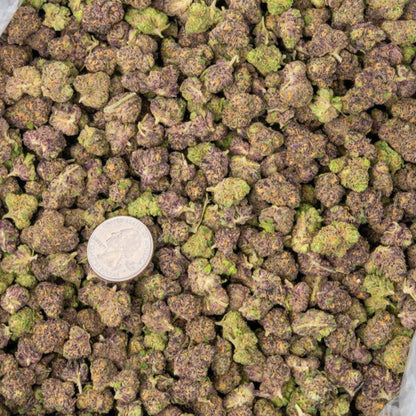 online cheap distro exotic discount thca hemp exotic flower buy lbs online fast shipping cheap wholesale discount pricing online