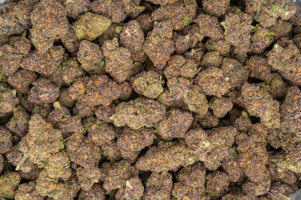 Toxic Punch 33% Thca Bulk