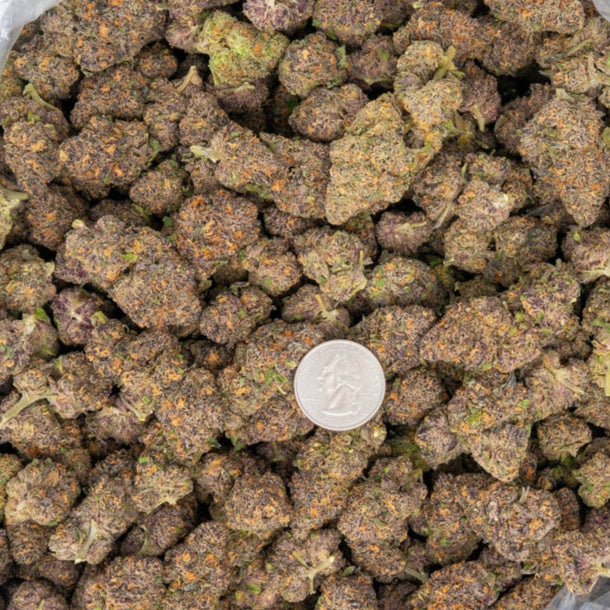 Toxic Punch 33% Thca Bulk