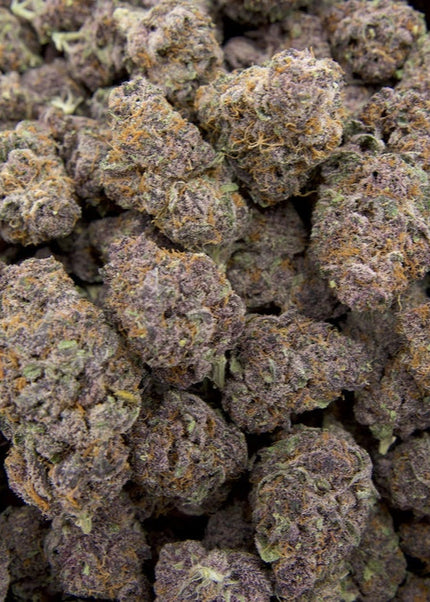 Tropicana Cherry 34% THCa