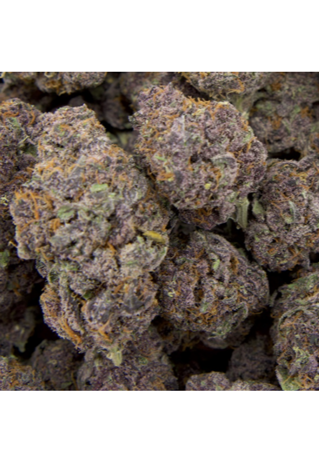 Tropicana Cherry 34% THCa