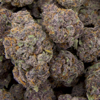 Tropicana Cherry 34% THCa