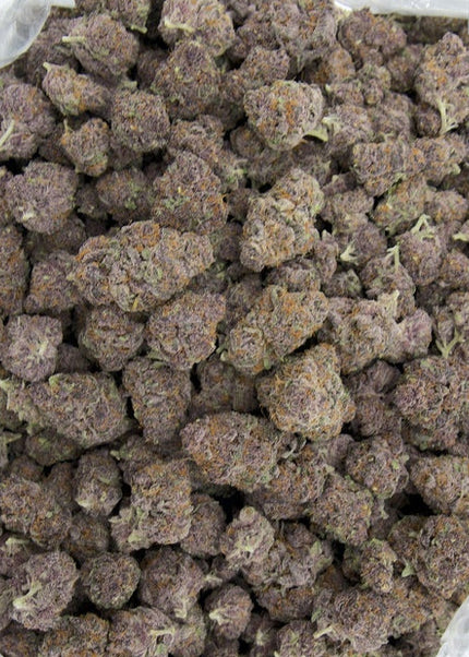 Tropicana Cherry 34% THCa