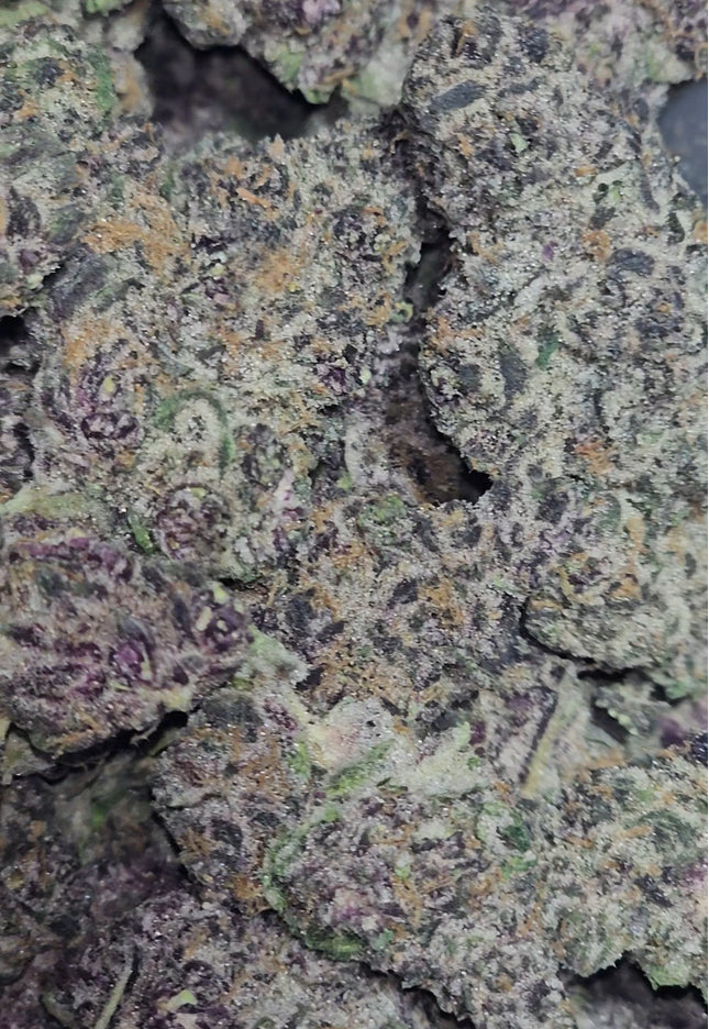 Purple Punch 35% THCa