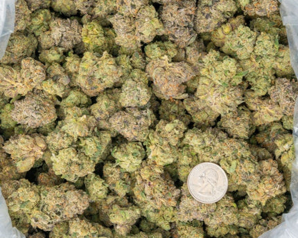 best indoor strains discount bulk discount thca hemp online quick shipping