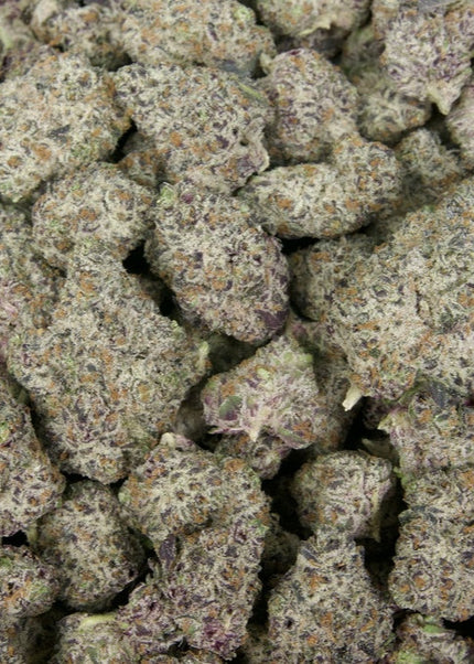 White Truffle 31% THCa Large