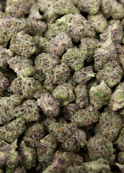 White Truffle 31% THCa Mediums