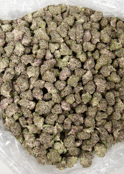 White Truffle 31% THCa Mediums
