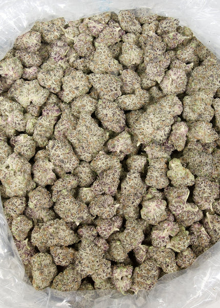 White Truffle 31% THCa Large