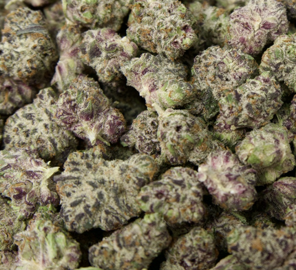 White Truffle 31% THCa Mediums