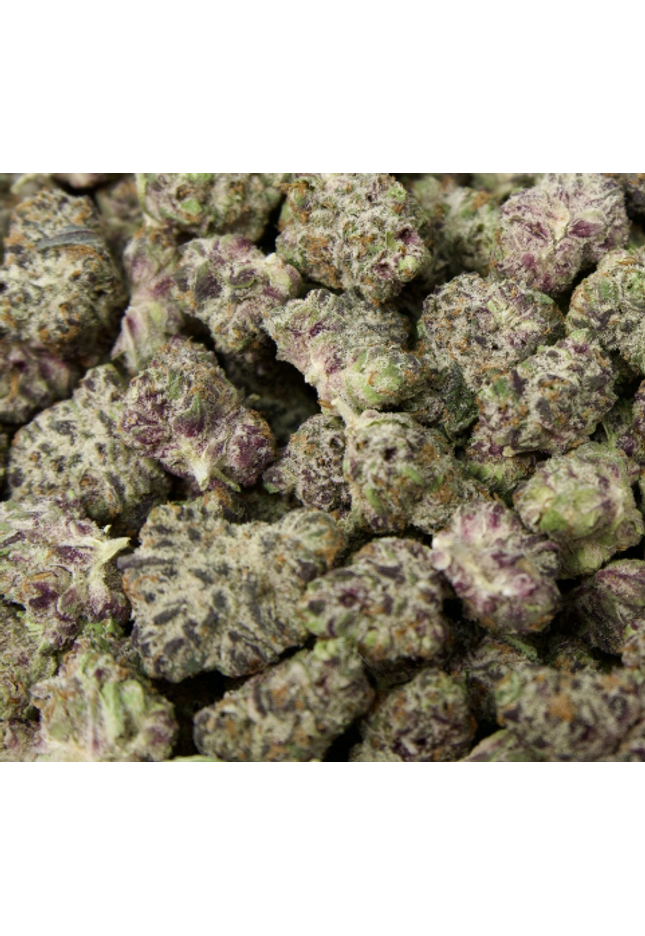 White Truffle 31% THCa Mediums