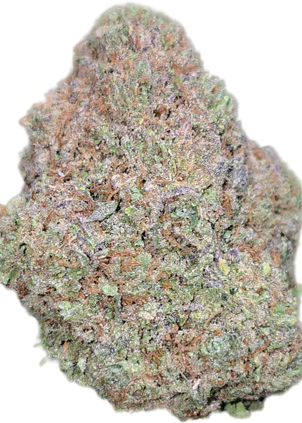 White Rhino 35% Thca