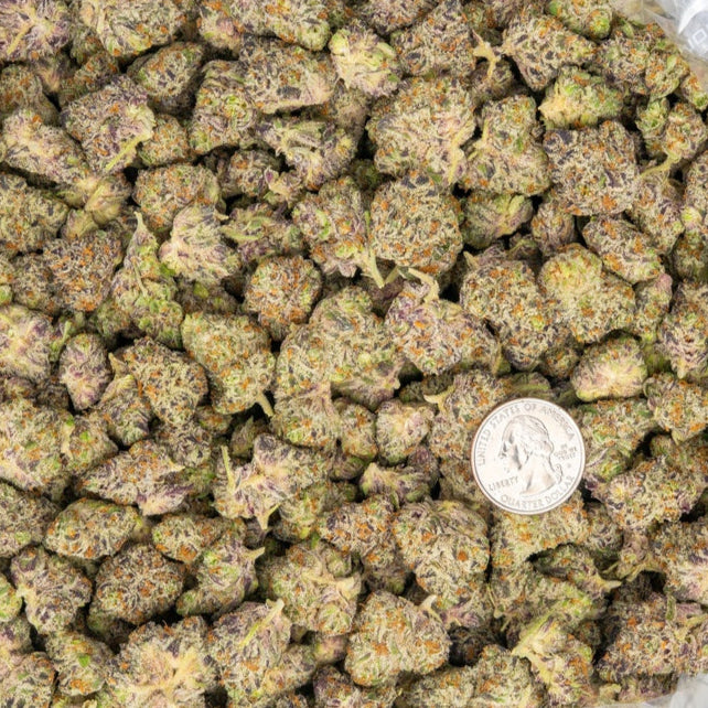 White Truffle 31% THCa Mediums