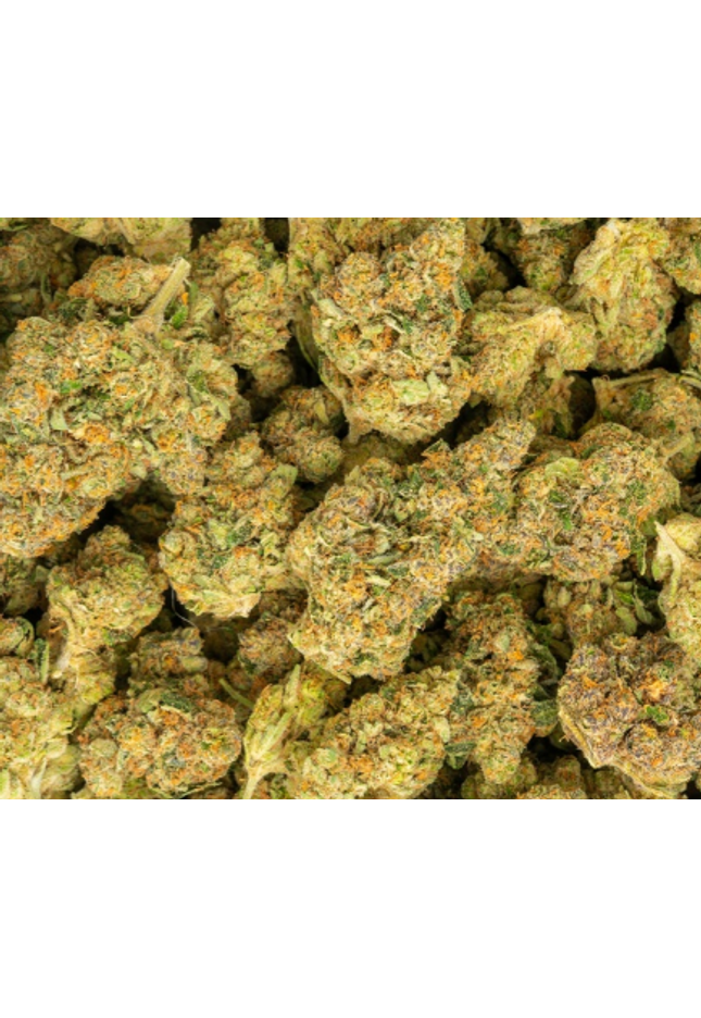 rare exotic strains buy bulk discount thca hemp online today