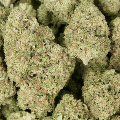Amaretto Sour 29% Thca