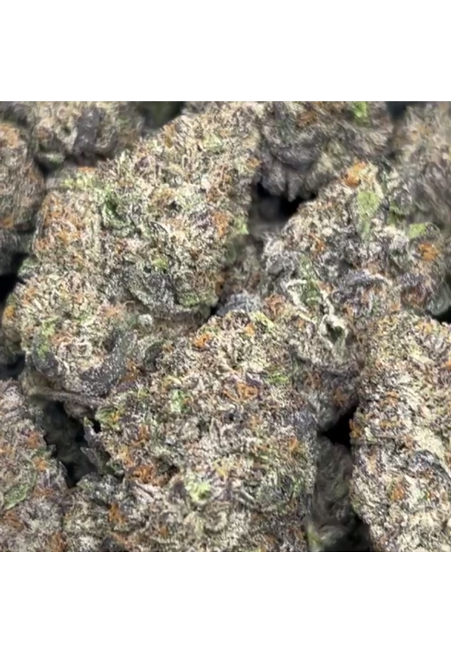 High potency wholesale bulk exotic indoor flower