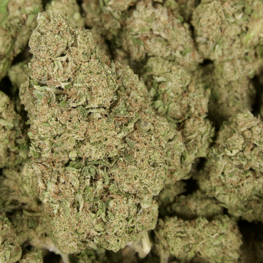 Animal Face Sherbert 29% Thca