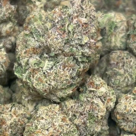 Wholesale flower bulk price buy online