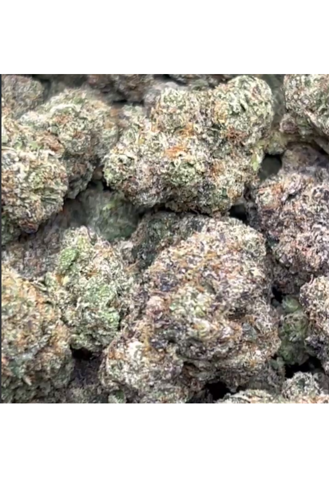 Blue Dream 31.1% Thca