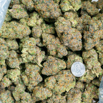 Candy Paint 33% THCa BULK