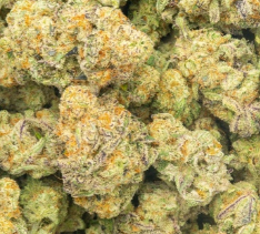 discount distro thca hemp buy pounds online quick shipping bulk wholesale discount price online cheap