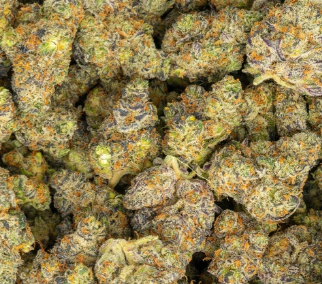 Facewreck 33% Thca Bulk