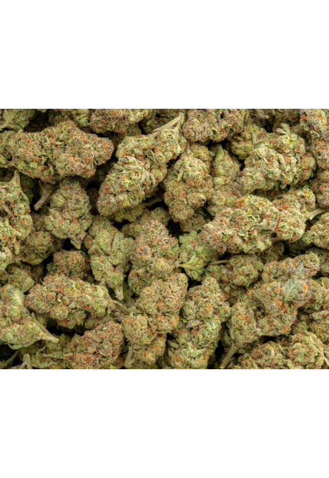 Facewreck 31% Thca Bulk Budget