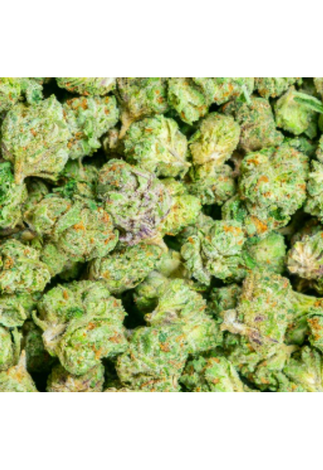 Gelato #33 Smalls 31%