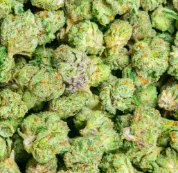 Gelato #33 Smalls 31%