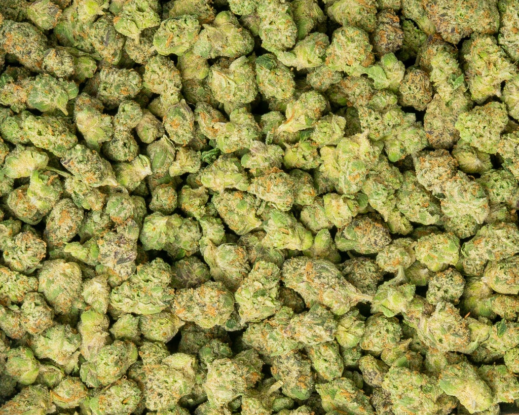 distro strain orange color, small bud size discoiunt pounds high thca online