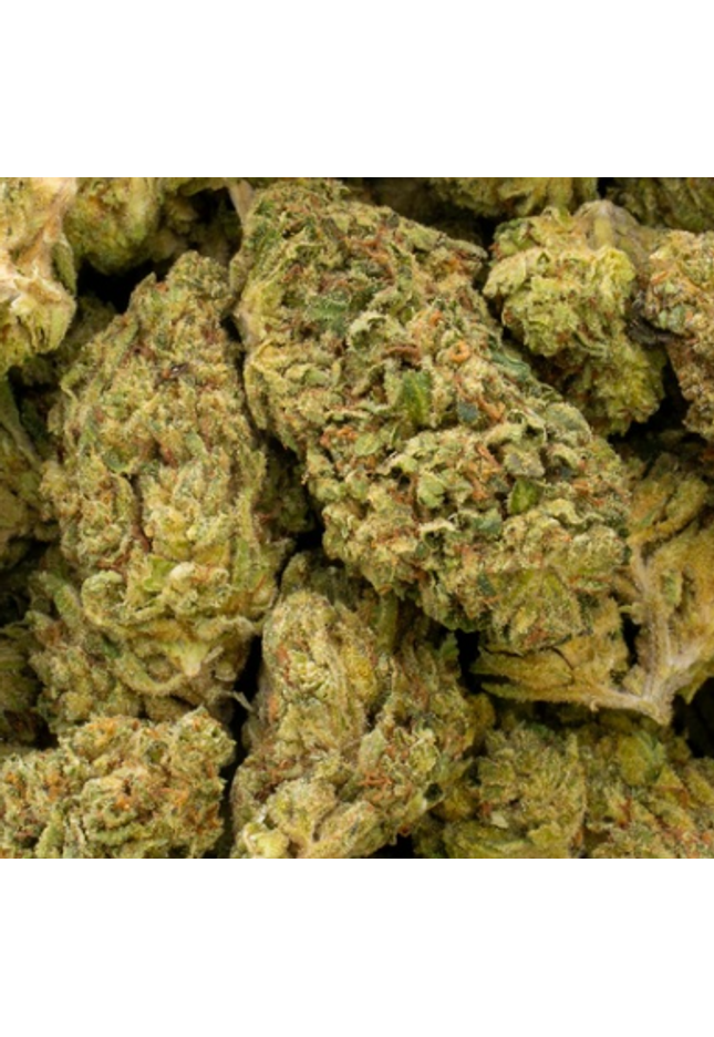 Goji Og 33% Bulk