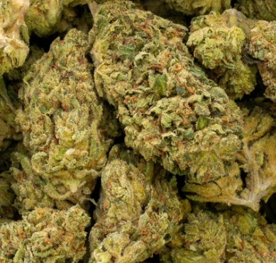 Goji Og 33% Bulk