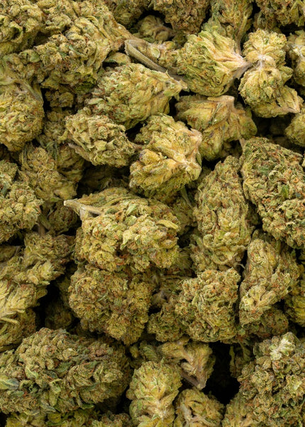 Goji Og 33% Bulk