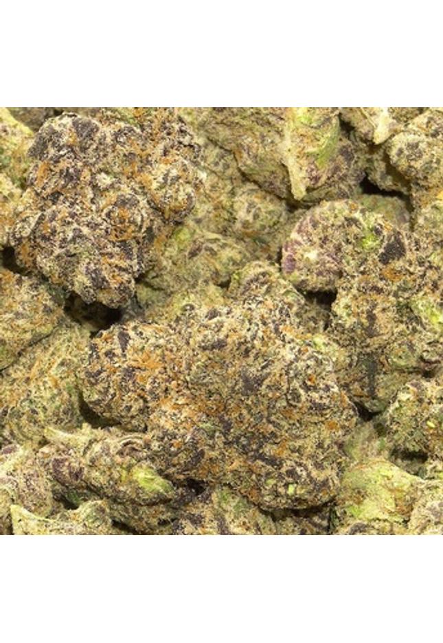 Rare favorite gumbo strain from california with dense purple nugs grown indoor in living soil high thca discountedpharms