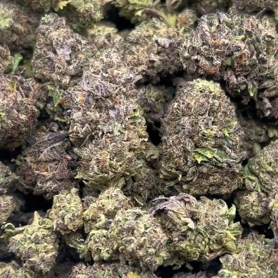 Hallie Berry 33.8% Thca